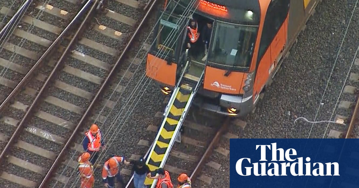 Wire that fell on Sydney train causing chaos identified in 2020 as risky but then inspected with binoculars | Transport