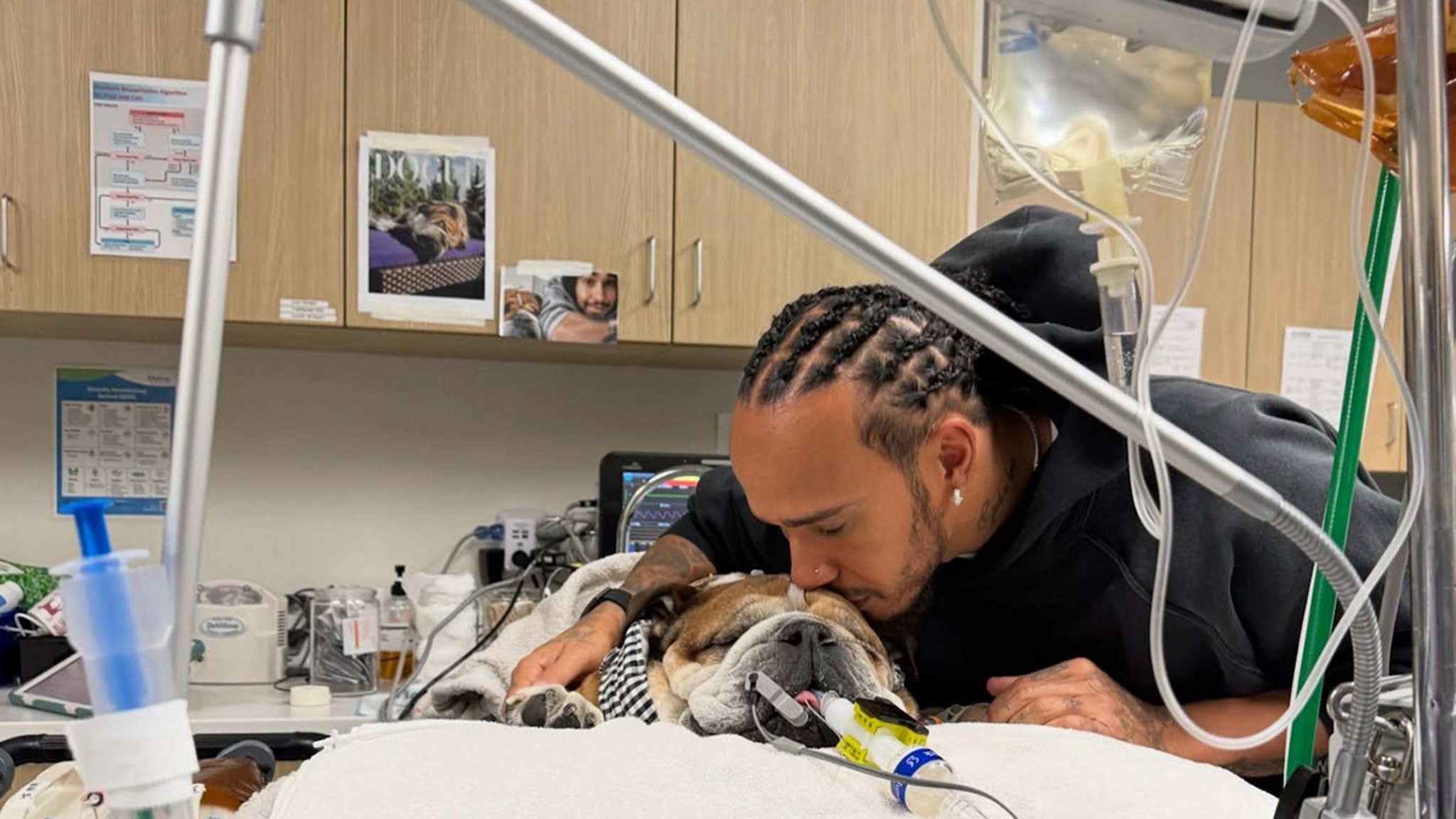 Lewis Hamilton’s Dog, Roscoe, In Coma, Fighting For Life in Hospital