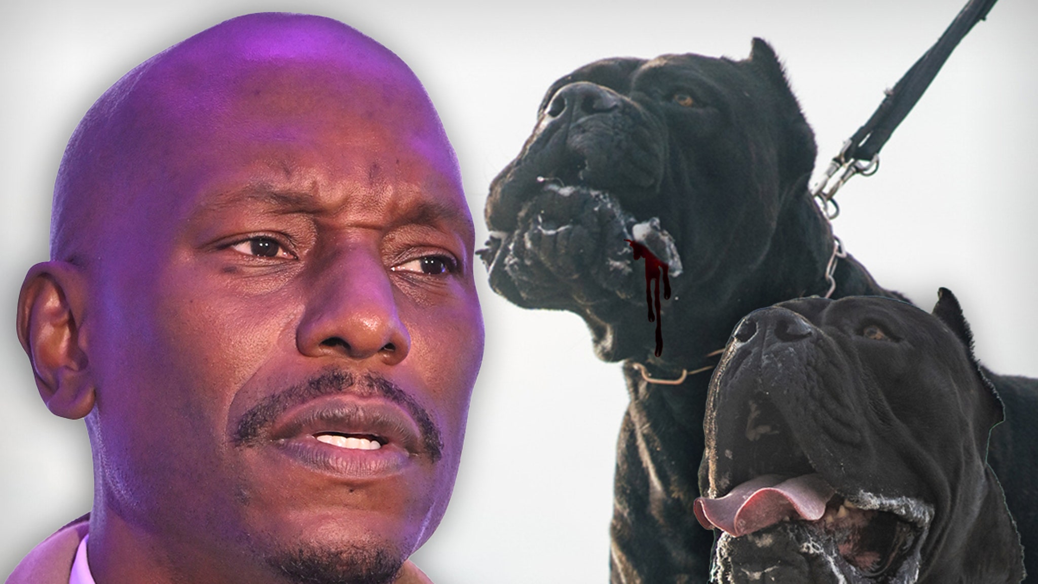 Tyrese Wanted by Cops After His Dogs Maul Neighbor’s Pet to Death in Atlanta