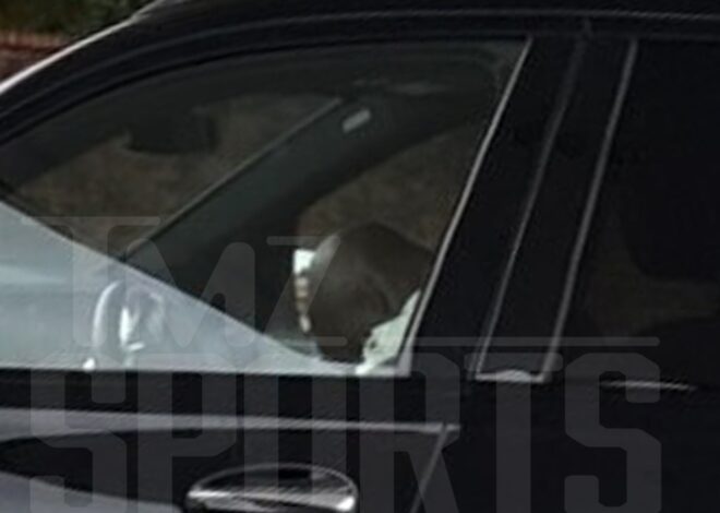 Adrian Peterson Asleep At Wheel Of Running Car Prior To Arrest