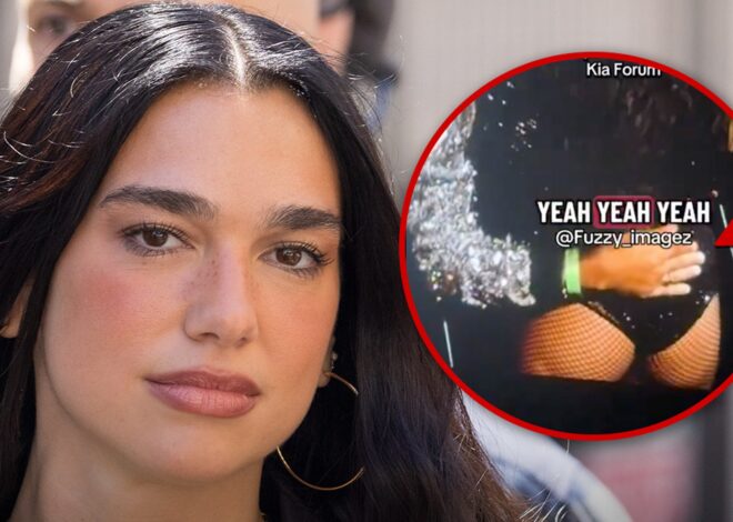 Dua Lipa’s Security Slaps Away Fan’s Hand As It Inches Toward Her Butt, On Video
