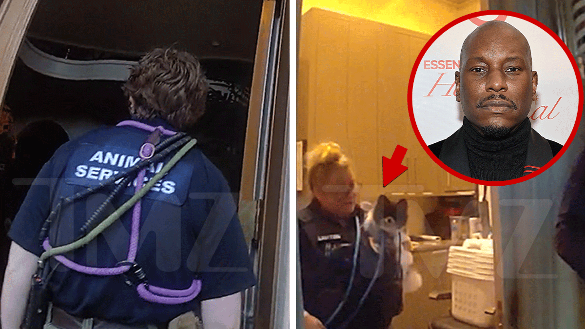 Tyrese’s Grandmother Detained During Raid Connected to Killer Dogs, Body Cam