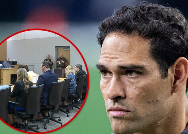 Mark Sanchez’s Attorney Says He’s ‘Still Recovering’ From Stabbing