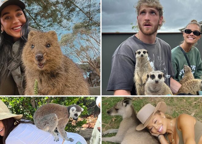 Wildin’ Out Celebs With Exotic Animals for World Animal Day!