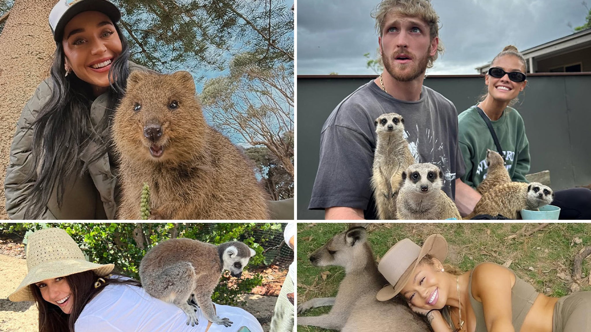Wildin’ Out Celebs With Exotic Animals for World Animal Day!