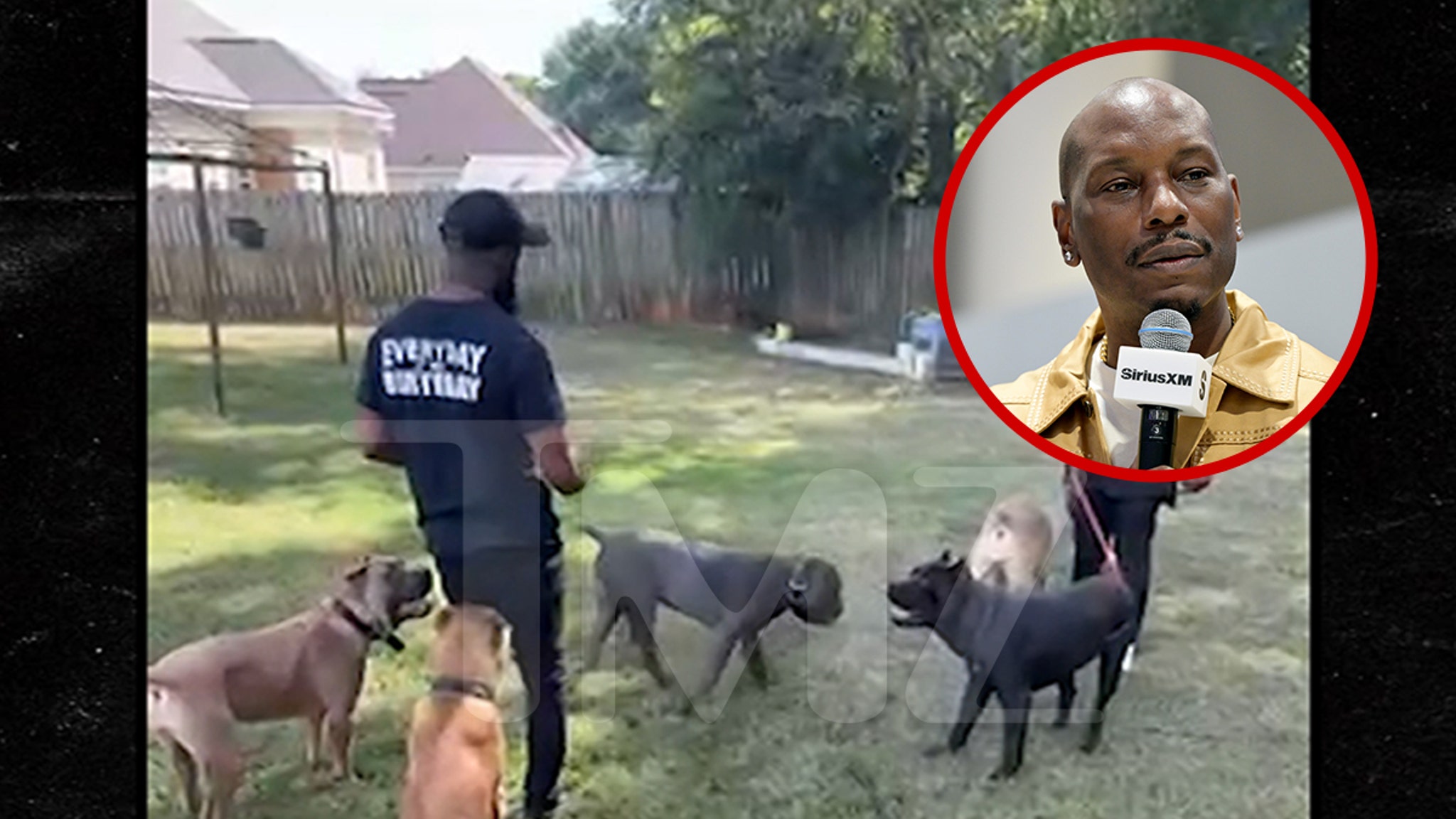 Tyrese Gibson’s Dogs Run Around Friend’s Backyard in New Video