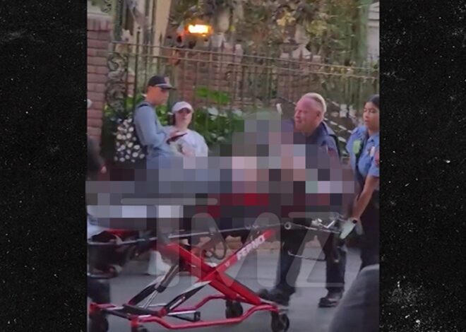 Disneyland Haunted Mansion Patient Wheeled Out Before Death, on Video