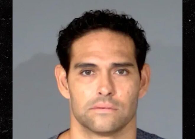 Mark Sanchez Released from Hospital, Booked Into Jail