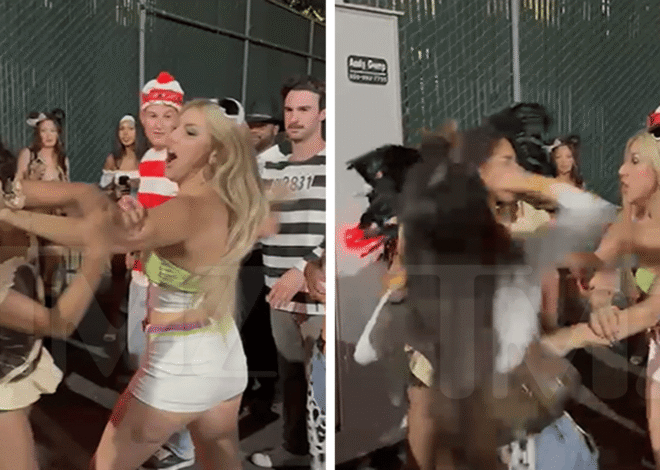 Sexy Women In Costumes Get Into Vicious Catfight At Halloween Party, Watch The Video
