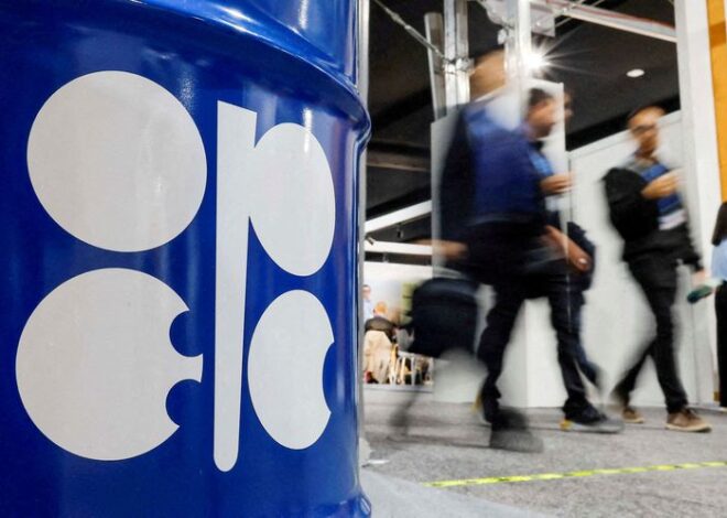 OPEC+ further raises oil production with modest hike from November
