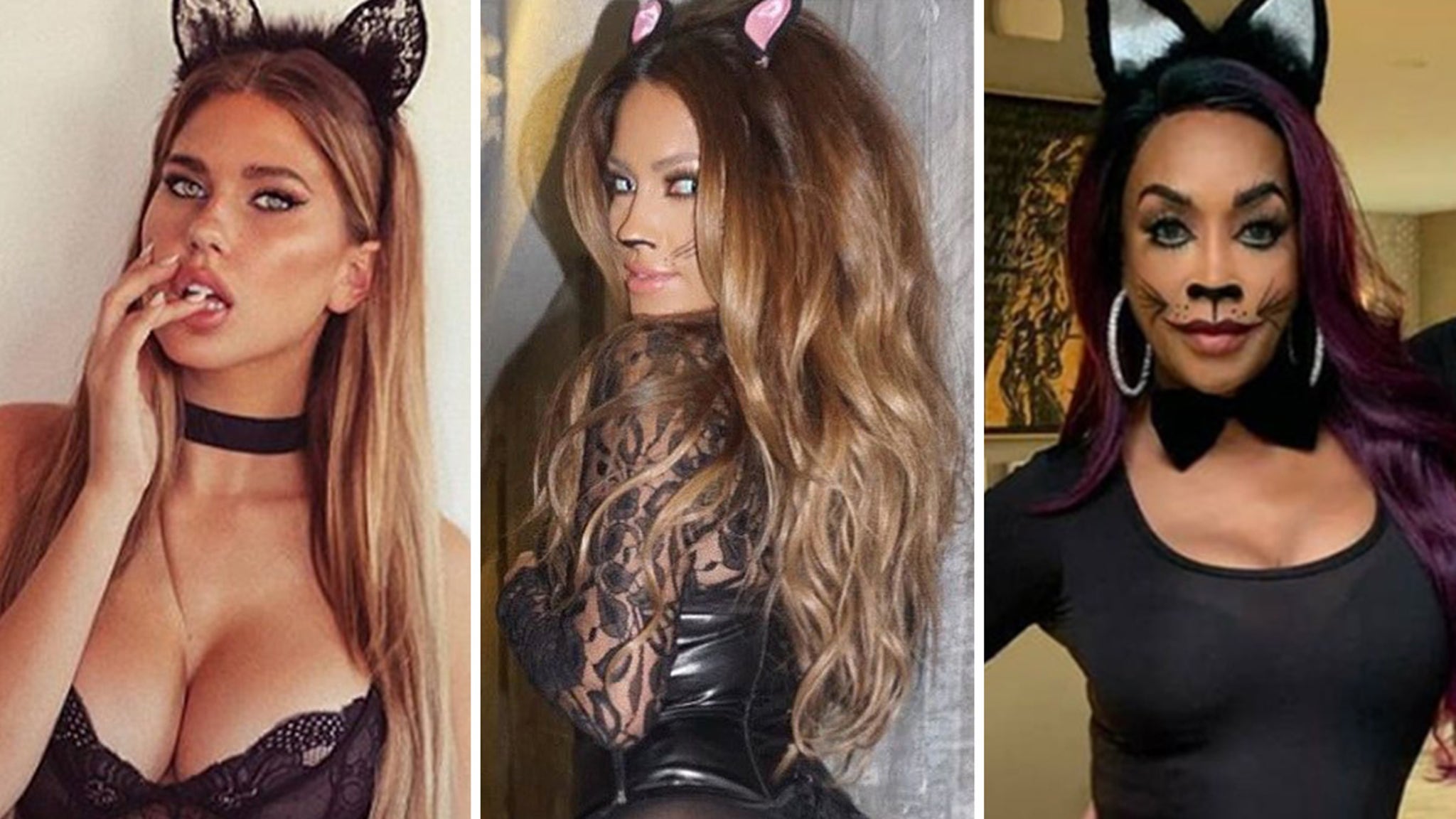 Celebrity Black Cats To Celebrate National Cat Day … Meooow!