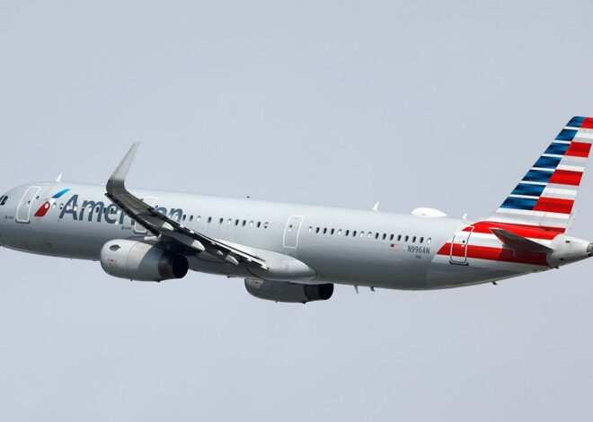 American Airlines flight turns back to LAX after fumes make passengers sick