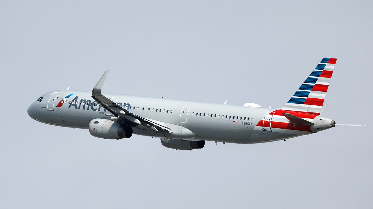 American Airlines flight turns back to LAX after fumes make passengers sick
