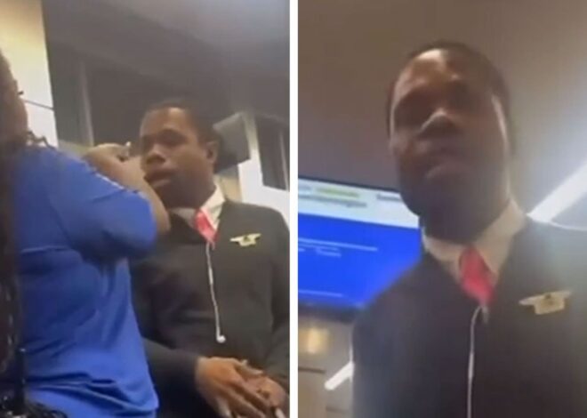 Delta Flight Attendant Goes Berserk at Southwest Gate Agent, Video Shows