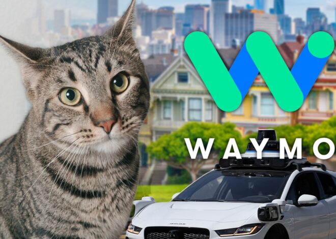 Beloved San Francisco Bodega Cat Killed by Waymo Self-Driving Car, Neighbors Say