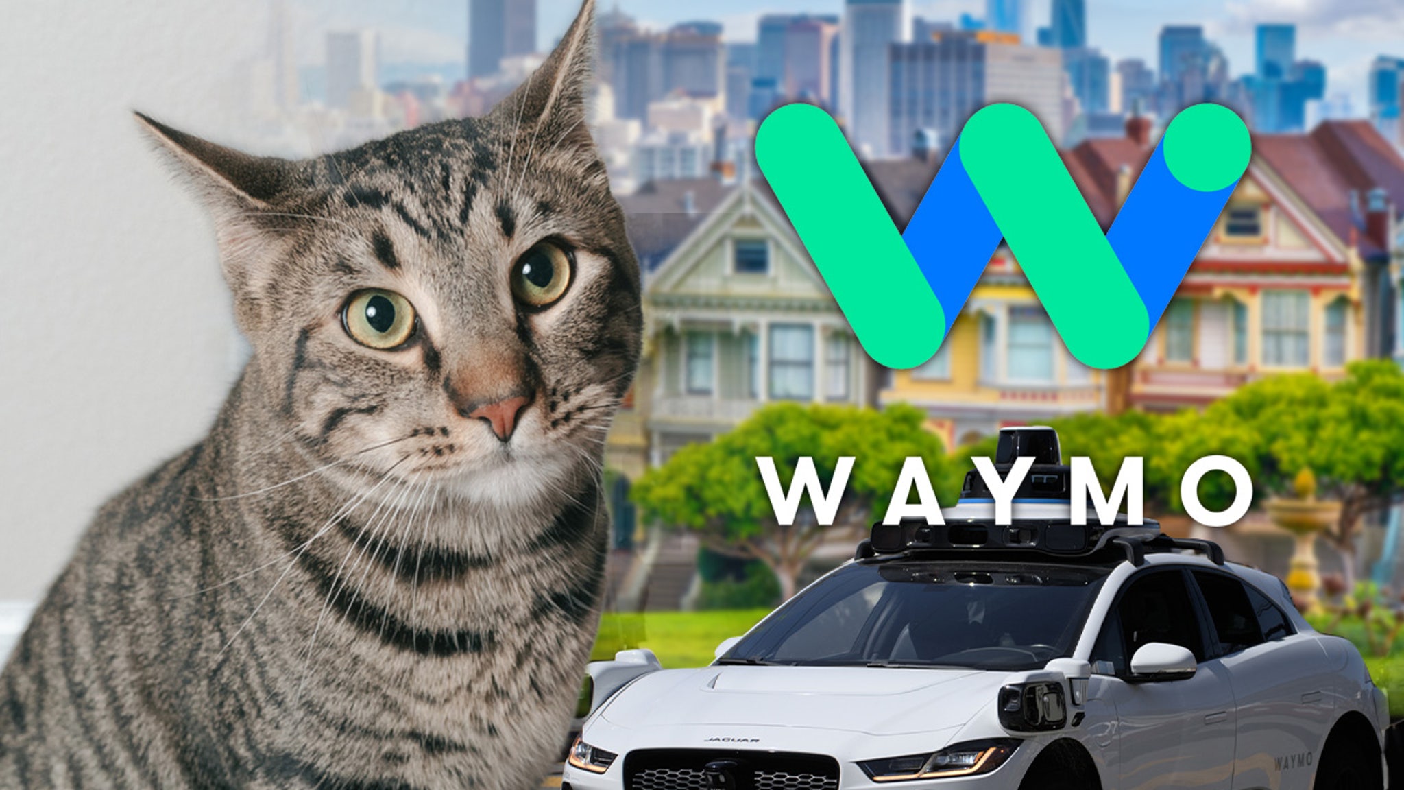 Beloved San Francisco Bodega Cat Killed by Waymo Self-Driving Car, Neighbors Say
