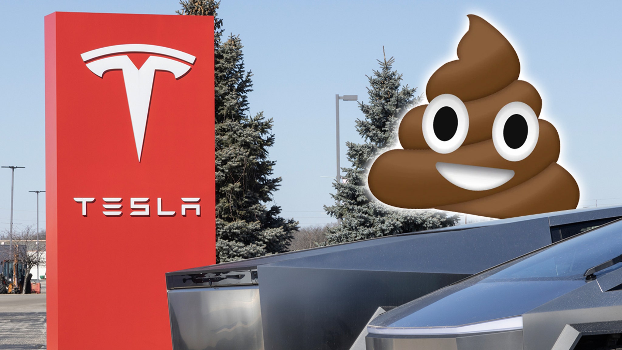 Chicago Woman Smears Dog Poop on Trump-Themed Cybertruck