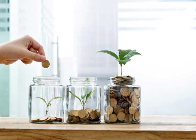 FDVV ETF: A Rising Star Or Risky Bet For Dividend Growth Investors? (NYSEARCA:FDVV)