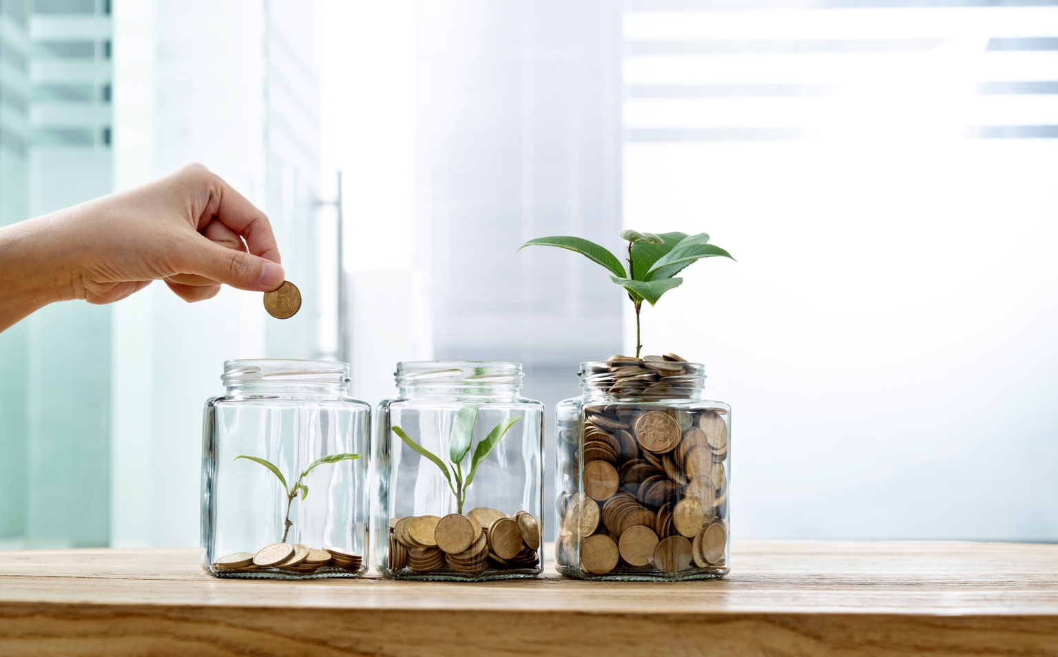 FDVV ETF: A Rising Star Or Risky Bet For Dividend Growth Investors? (NYSEARCA:FDVV)