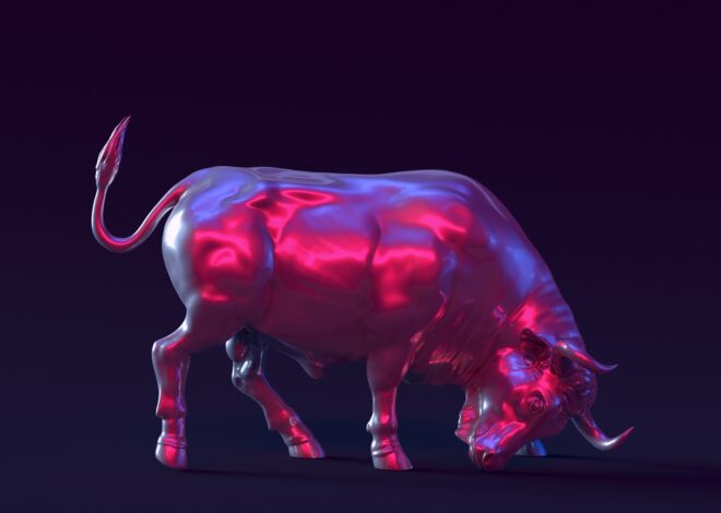 NVDU: Amplified Exposure To NVDA Shares (NASDAQ:NVDU)