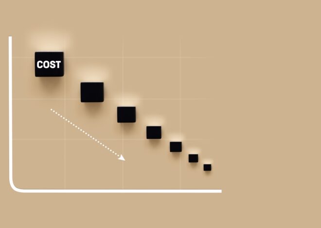 Diamond Hill Large Cap Portfolio Shaped By Cost-Cutting And Depressed Price