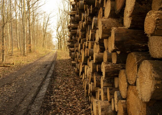 Clearwater Paper: Reiterating Buy Despite A Soft Q3 Guide