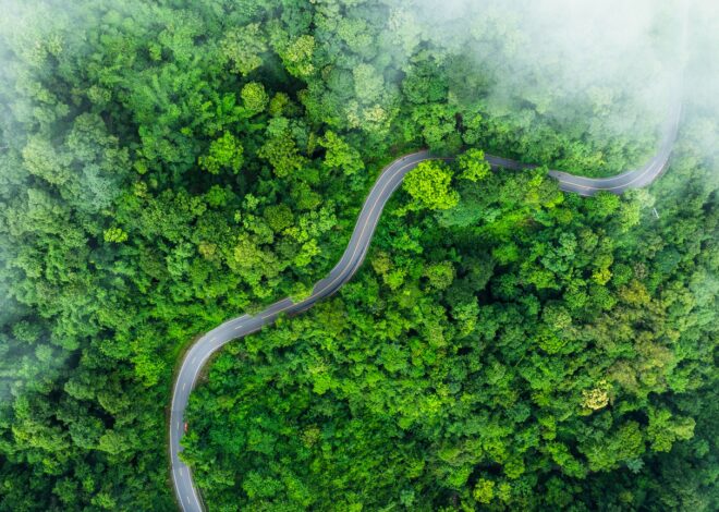 An Index Series To Help You Invest In The Green Economy