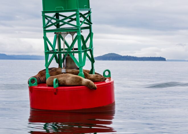 Dynex Capital: Strong Quarterly Result Buoy DX.PR.C Preferred (NYSE:DX)