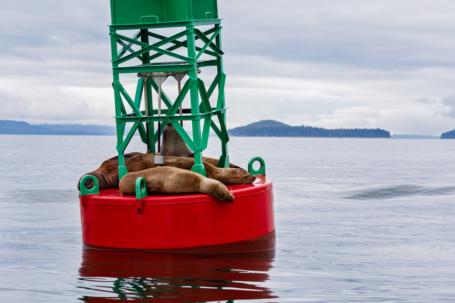 Dynex Capital: Strong Quarterly Result Buoy DX.PR.C Preferred (NYSE:DX)