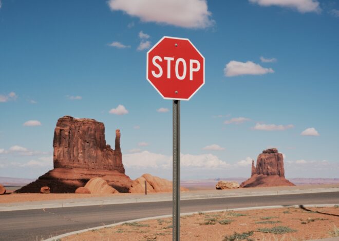 AMD: 200% Price Jump Meets Q3 2025 Earnings (Rating Downgrade) (NASDAQ:AMD)