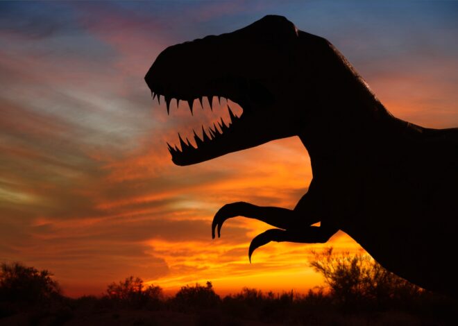 Dell Technologies: A Dinosaur That's Learning New Tricks