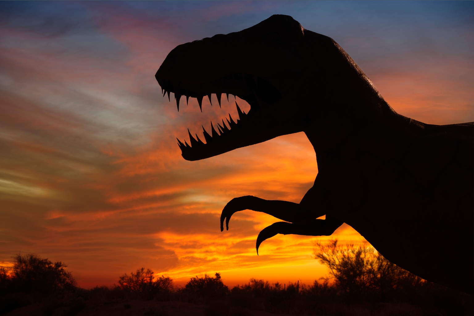 Dell Technologies: A Dinosaur That's Learning New Tricks