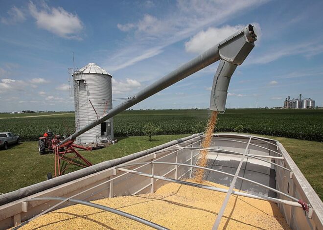 Trump accuses China of ‘economically hostile’ soybean cuts, threatens trade