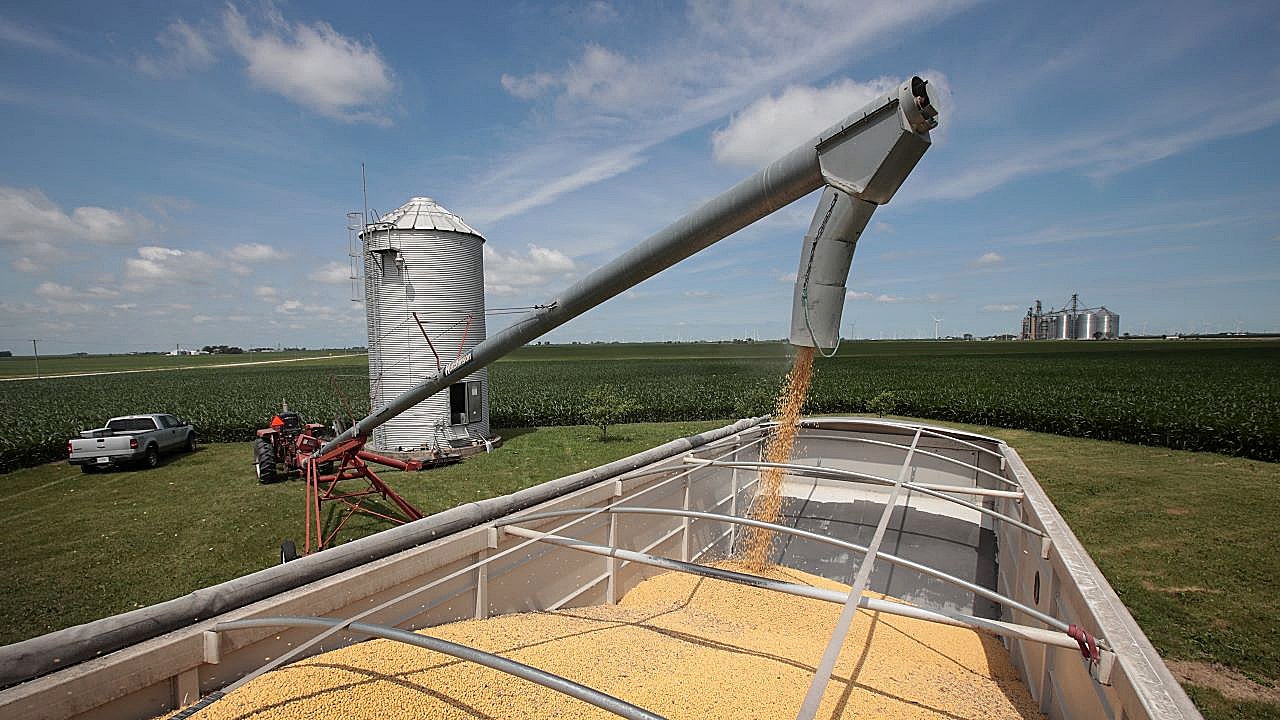 Trump accuses China of ‘economically hostile’ soybean cuts, threatens trade