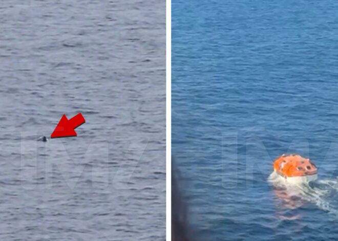 Carnival Cruise Passenger Goes Overboard Off Mexican Coastline, False Alarm