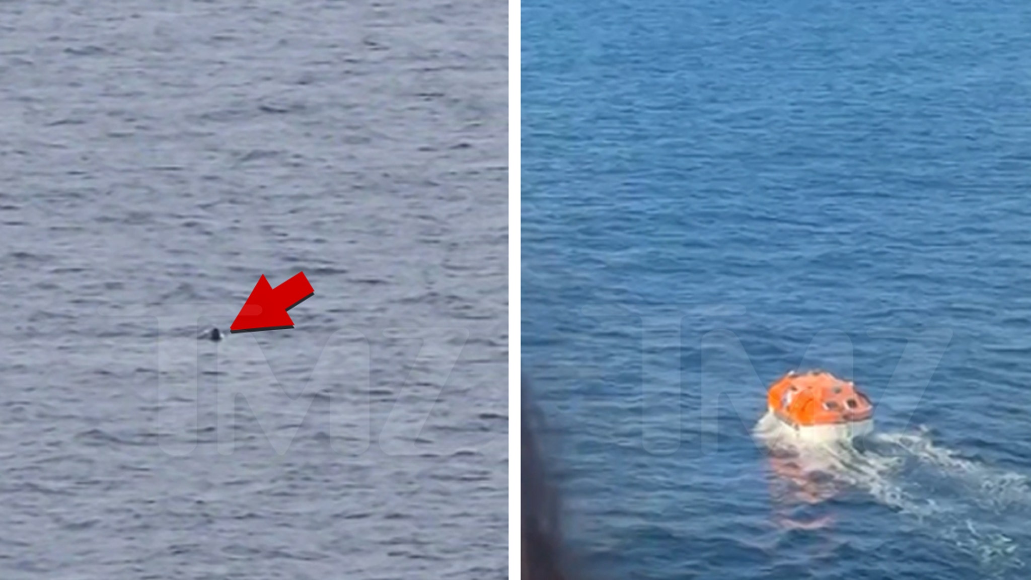Carnival Cruise Passenger Goes Overboard Off Mexican Coastline, False Alarm