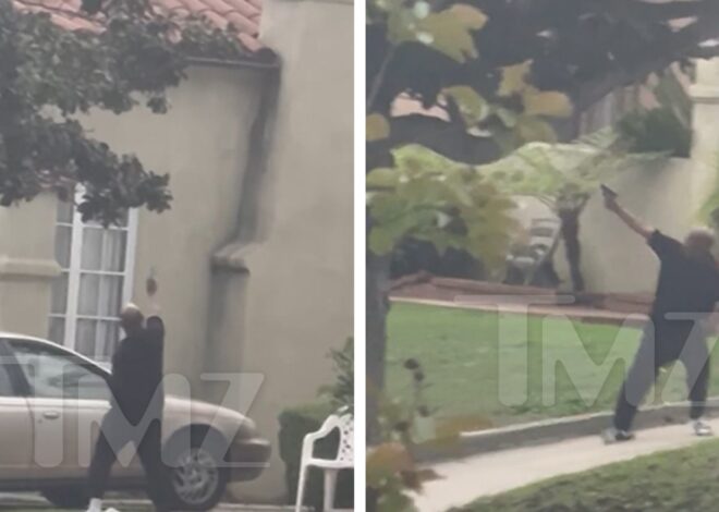 LAPD Arrests Man Who Allegedly Shot at Police Helicopter, Shooting On Video