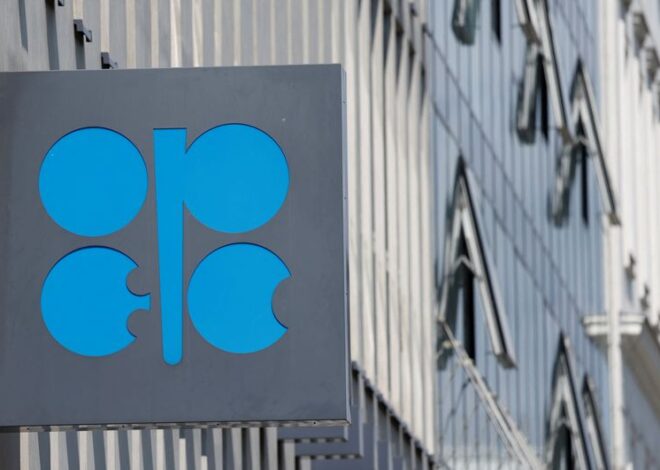 OPEC+ pauses oil output hikes beyond December amid glut fears