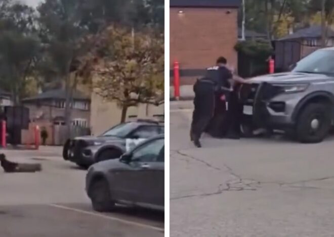 Cop Car Rolls Over Suspect When Officer Forgets to Put It in Park, on Video