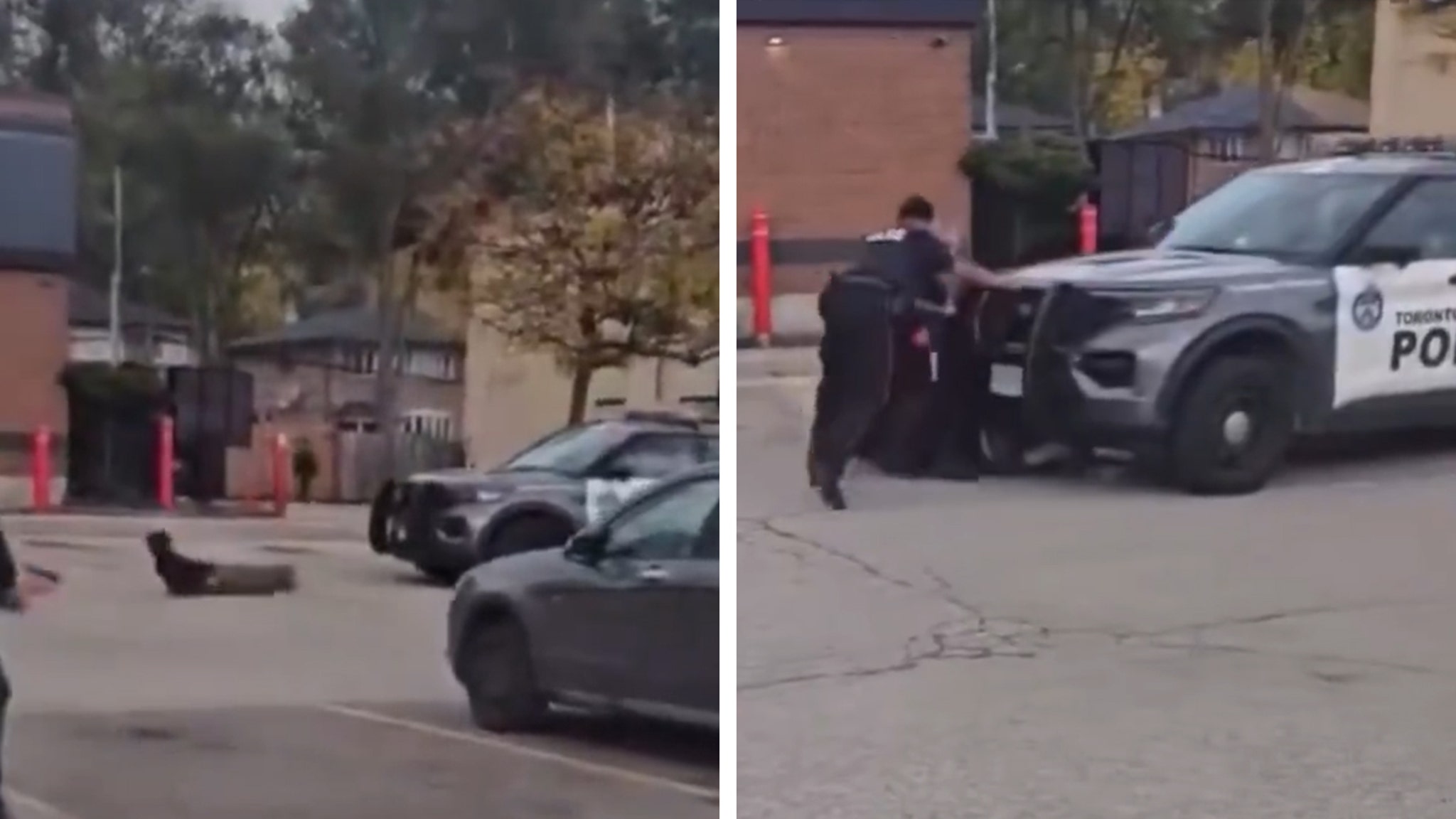 Cop Car Rolls Over Suspect When Officer Forgets to Put It in Park, on Video