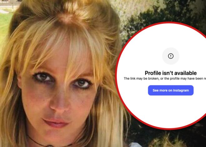 Britney Spears Deletes Her Instagram Following Concerning Posts