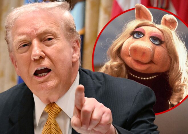 President Trump Loses his S*** Over Epstein Question, Calls Reporter A Pig