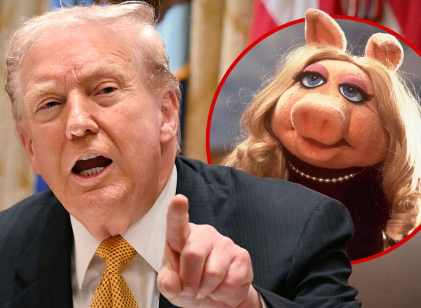 President Trump Loses his S*** Over Epstein Question, Calls Reporter A Pig