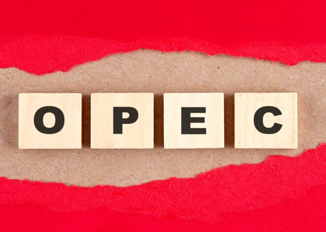 OPEC Monthly Oil Market Report, November 2025