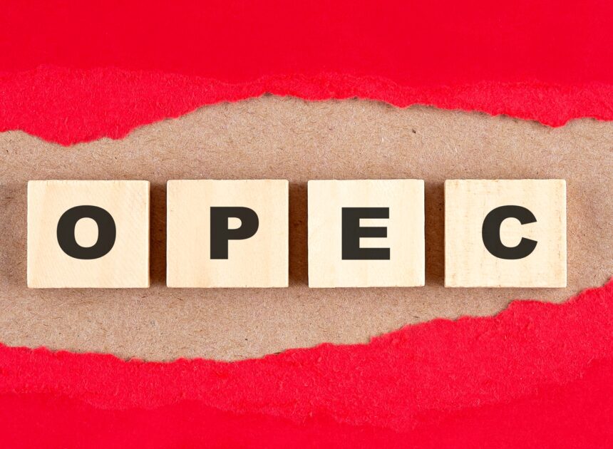 OPEC Monthly Oil Market Report, November 2025