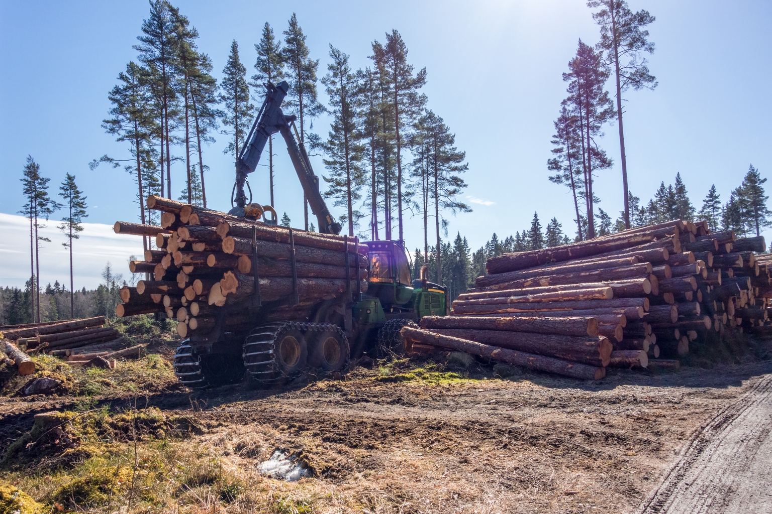 Weyerhaeuser: Benefiting From Trump’s Tariffs On Canadian Lumber & Timber (NYSE:WY)