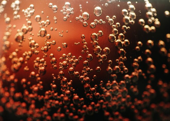 PepsiCo: A Fairly Valued Dividend Powerhouse Offering Defensive Diversification