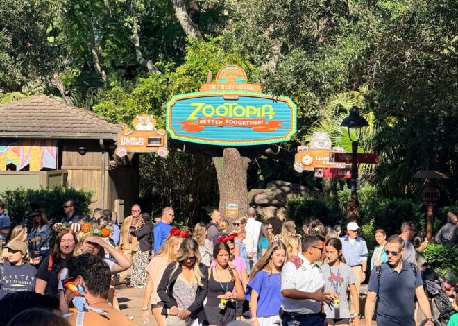Disney World opens new Zootopia show at Animal Kingdom this Friday