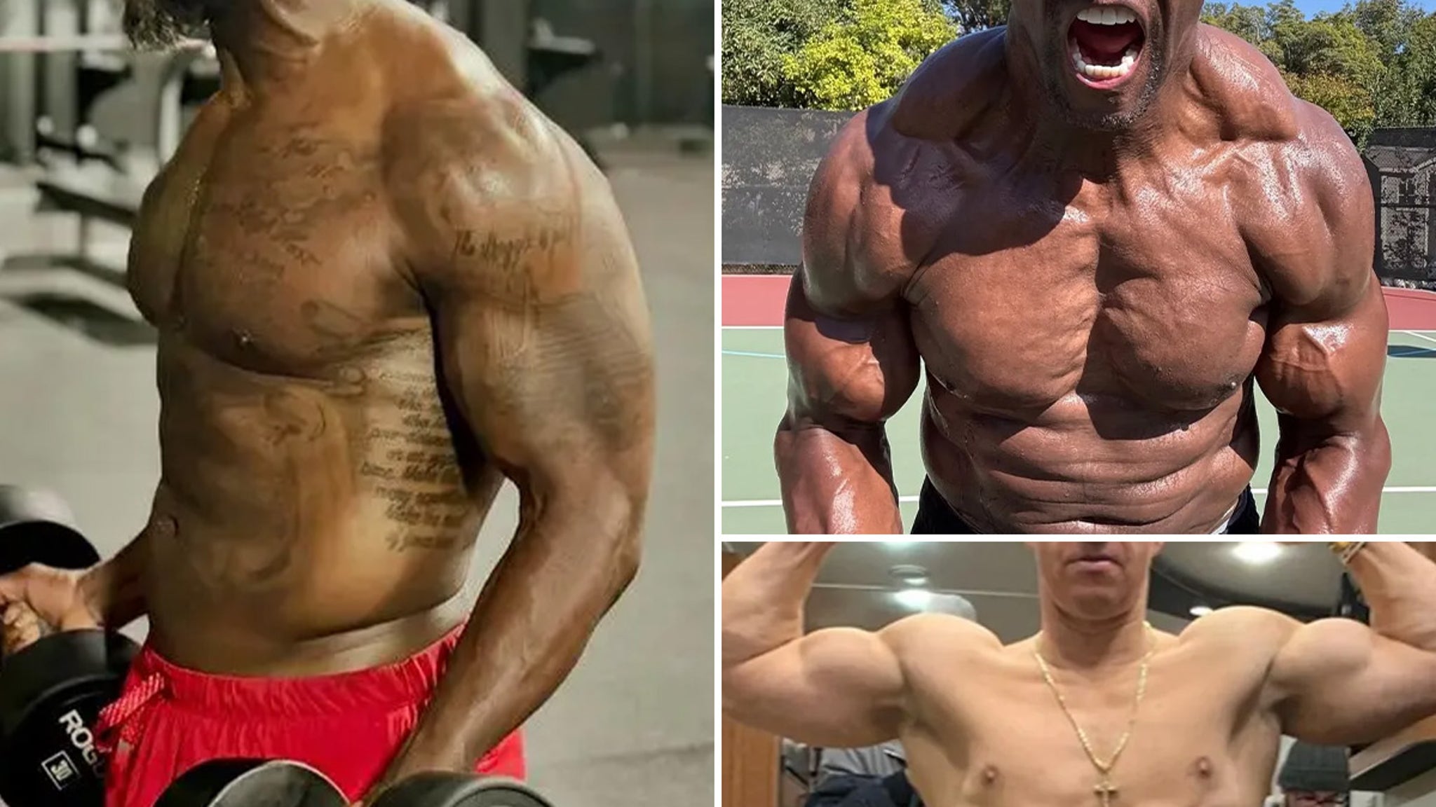 Bust Into The Holiday Season With These Famous Biceps — Guess Who!
